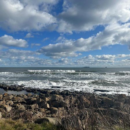Denburn Cottage, East Neuk Of Fife Colinsburgh Екстер'єр фото